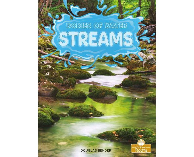 Streams - (Bodies of Water) by  Douglas Bender (Paperback)