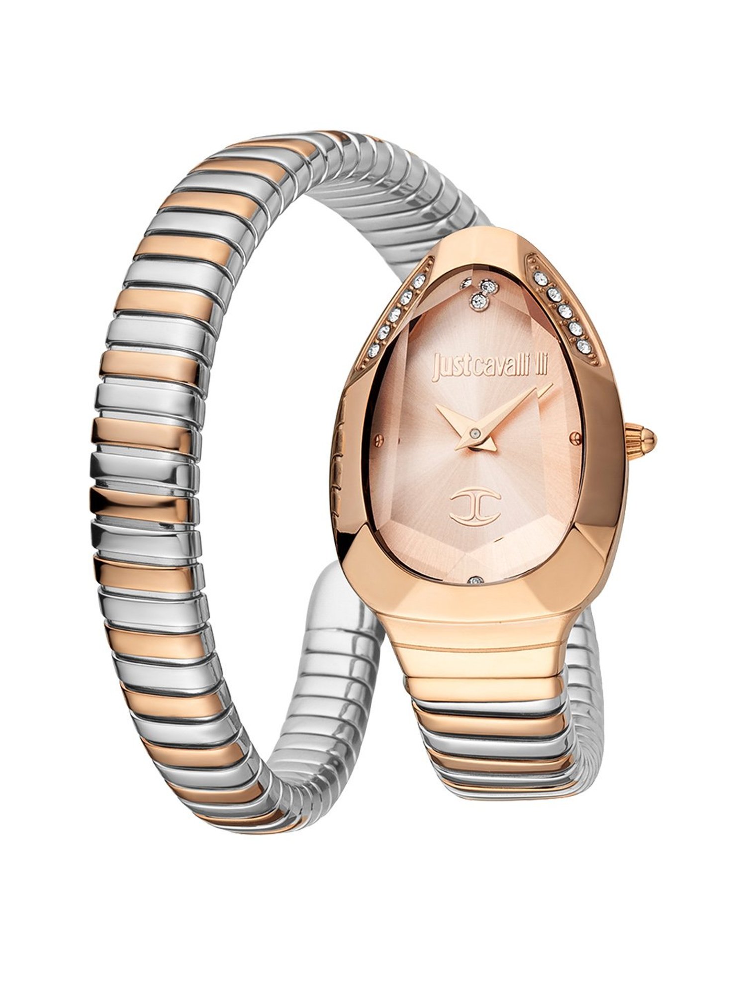 JUST CAVALLI JC1L208M0075 Analog Watch for Women