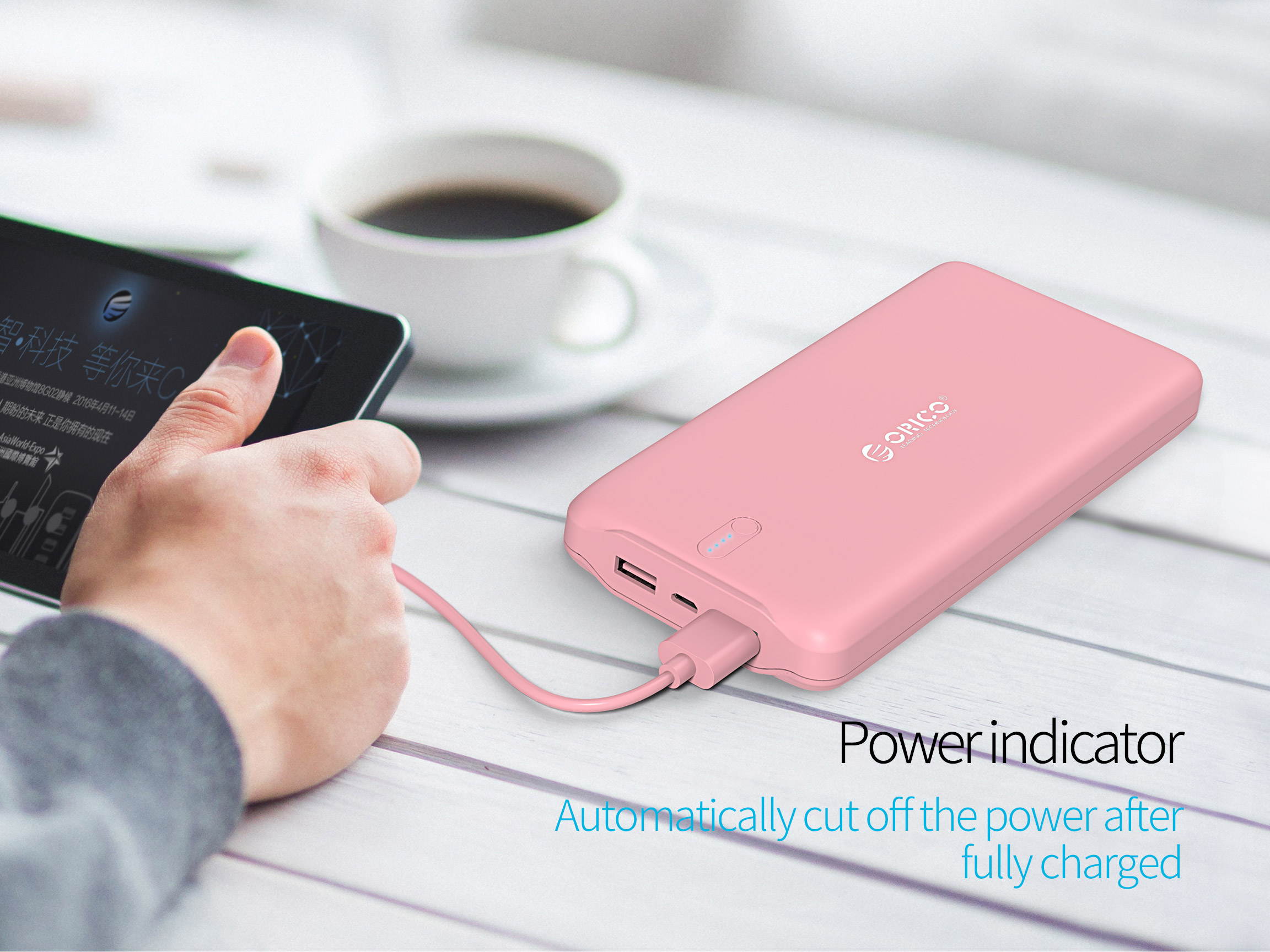 ORICO 20000mAh High Capacity Battery Charger Dual USB Port External Mobile Battery Pack, Battery Power Backup for iPhone 7 Plus/6s, iPad, iPod, Samsung Galaxy, Cell Phones, Tablet