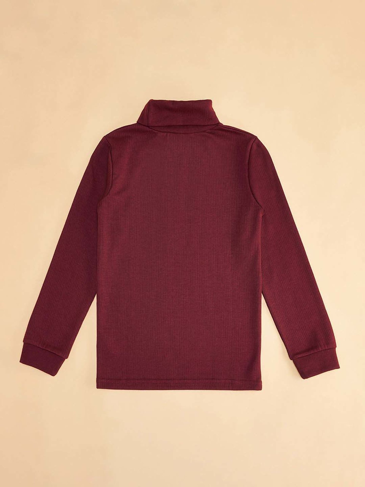 Pantaloons Junior Kids Maroon Regular Fit Full Sleeves Thermal Top