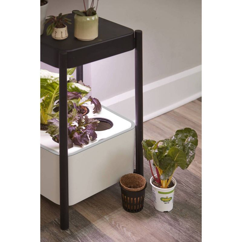 Miracle-Gro Twelve Transplanting Kit