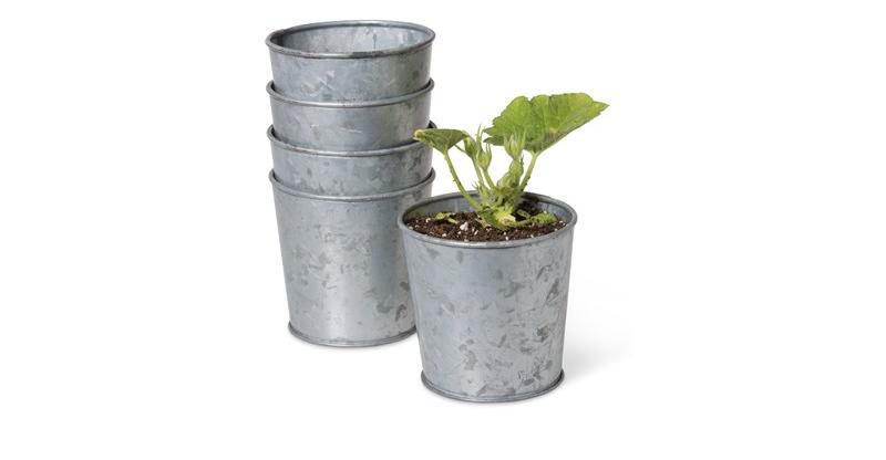 Galvanized Planting Cups, Set of 5 - CURIO CRAFTS