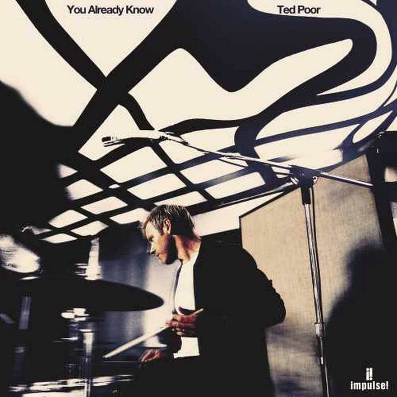 Ted Poor You Already Know LP (Vinyl)