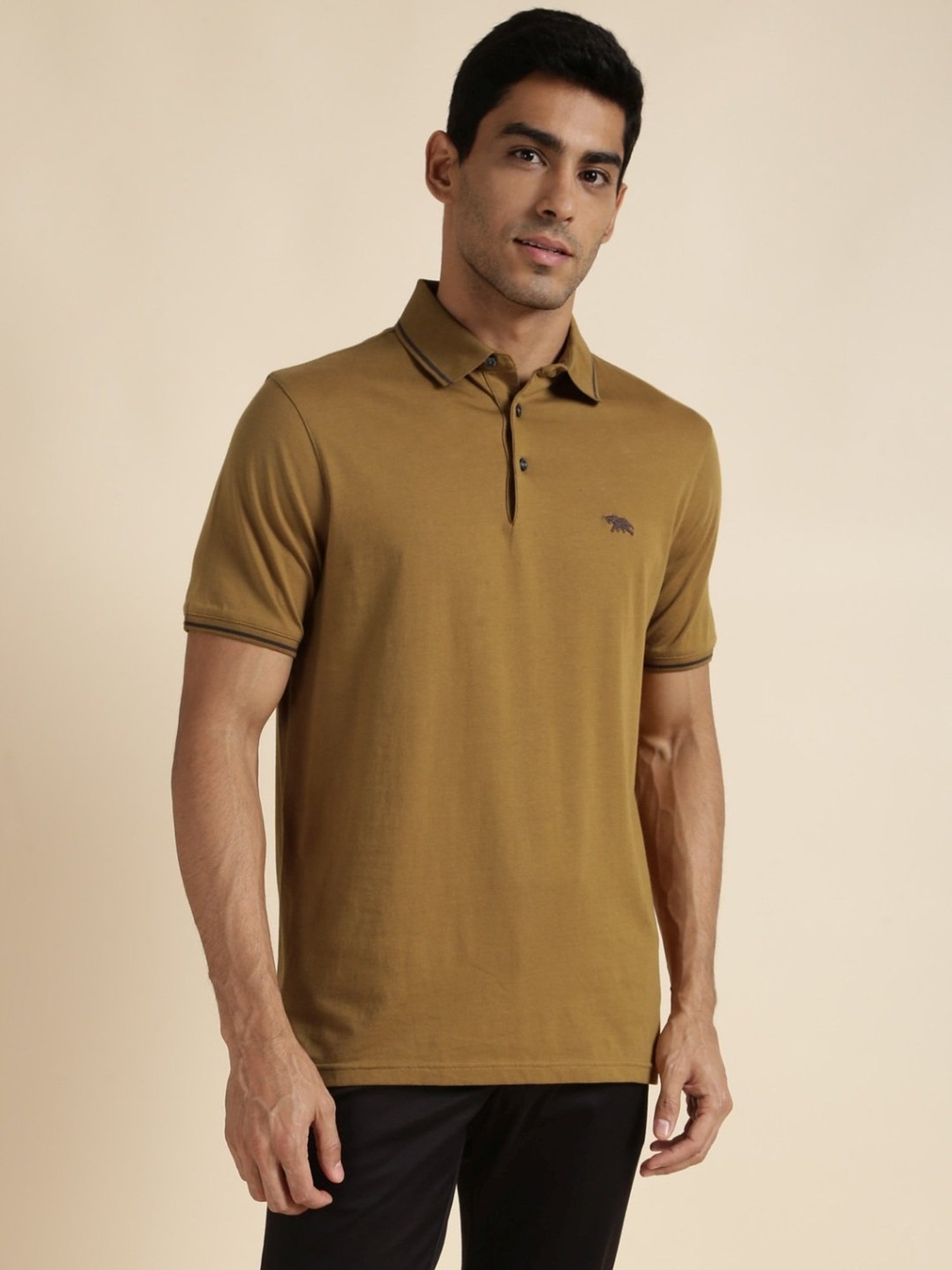 Andamen Green Regular Fit Polo T-Shirt