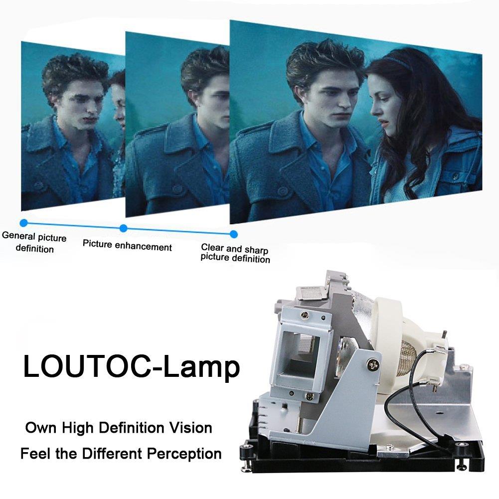 LOUTOC BL-FU310B Projector Lamp Bulb for OPTOMA EH500 X600 DH1017 DH1014 Lamp Bulb Replacement