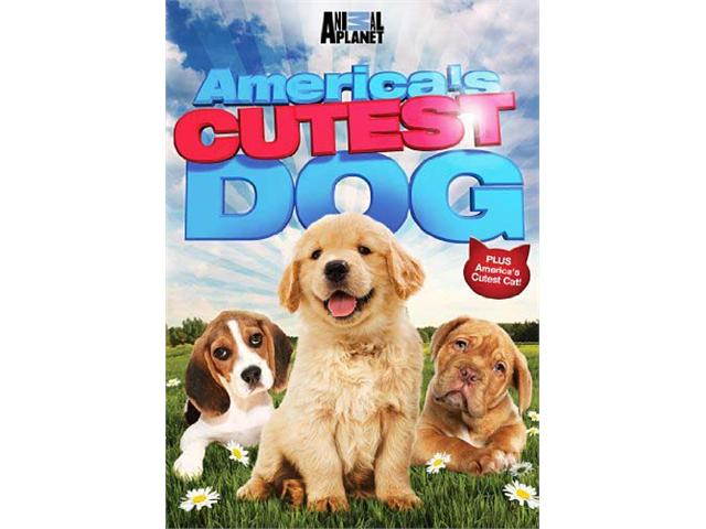 GAIAM AMERICAS AMERICAS CUTEST DOG (DVD)-NLA D05-58087D