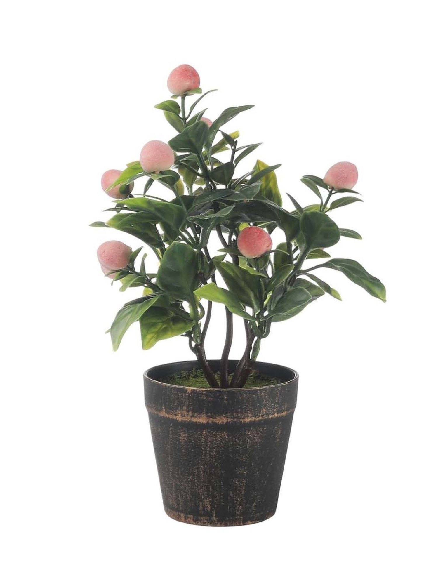 Foliyaj Green & Peach Plastic Artificial Bonsai Tree With Pot