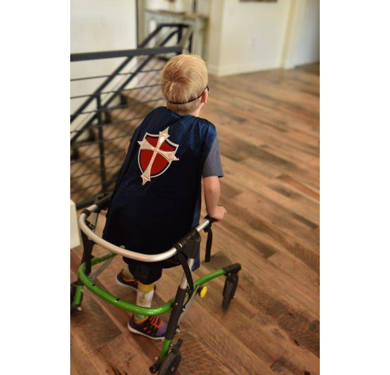 She-ra Sword and Shield Combo Set