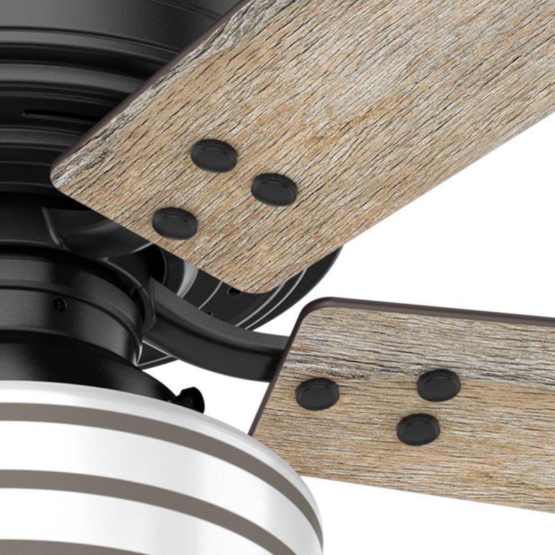 44" Cedar Key Damp Rated Ceiling Fan with Remote Black (Includes LED Light Bulb) - Hunter Fan