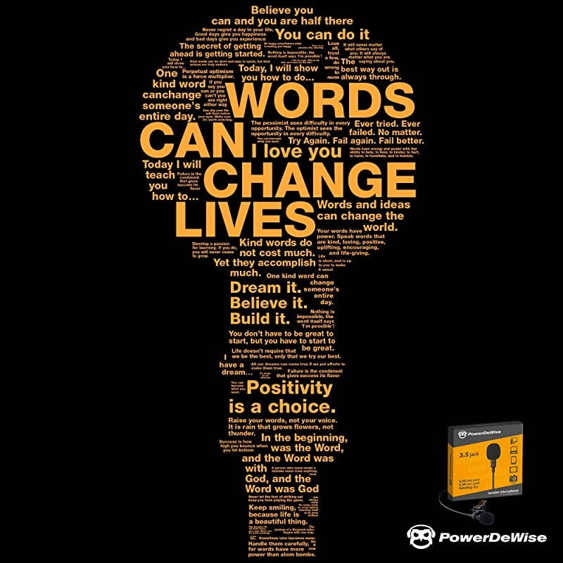 Grade Lavalier Lapel Microphone Omnidirectional Mic with Easy Clip On System Perfect for Recording Youtube Interview Video Conference Podcast Voice Dictation iPhoneASMR