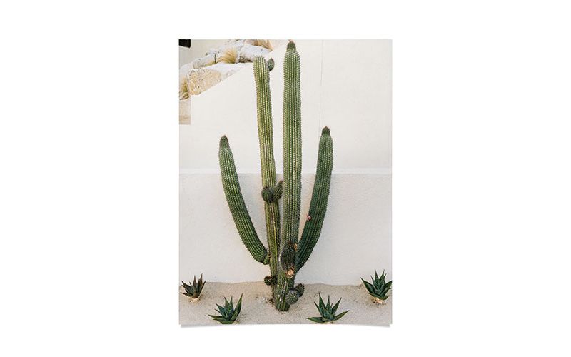 Bethany Young Photography Cabo Cactus X Poster- 18" x 24" - Society6