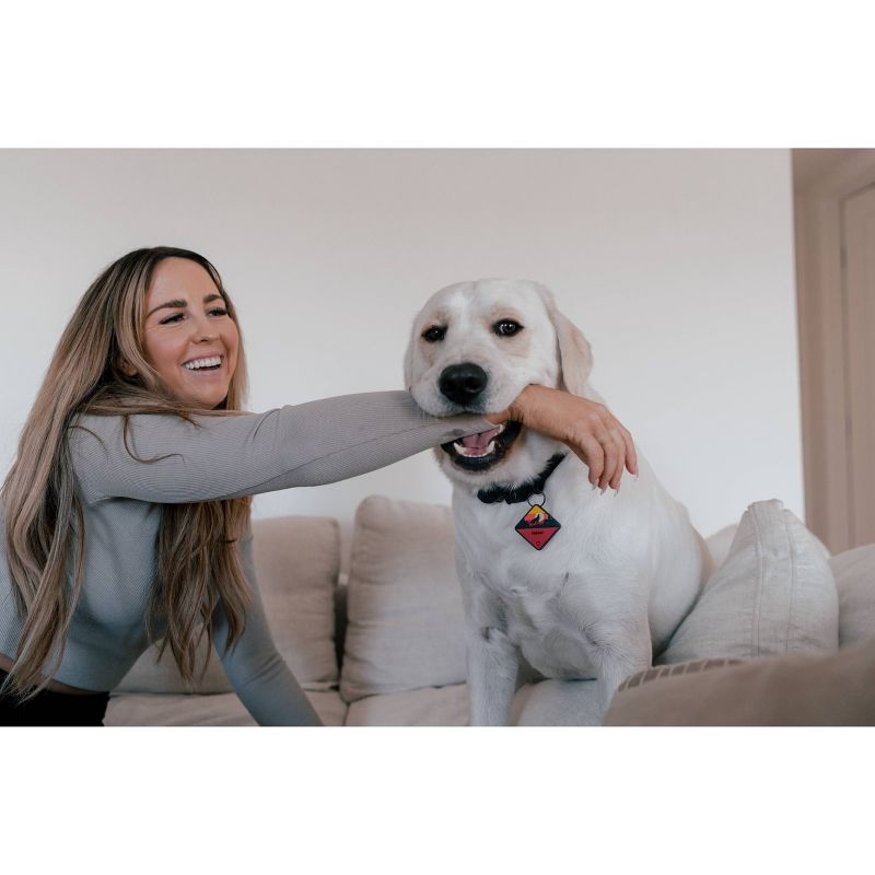 QALO Dog and Cat Tile Enabled Traq - Pink