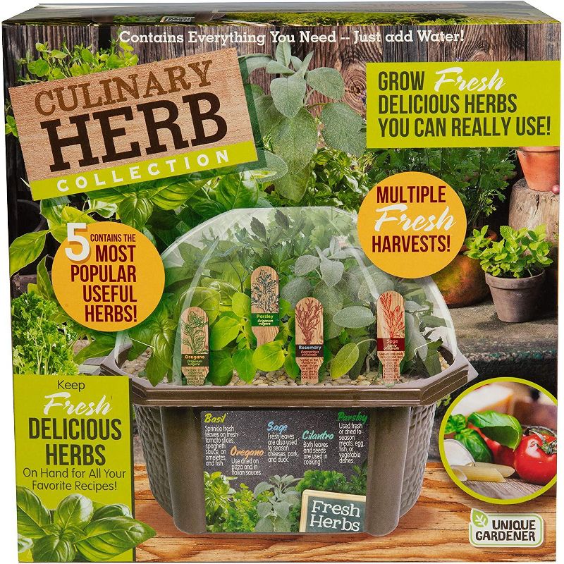 Toys By Nature Biosphere Terrariums - Culinary Herb Garden