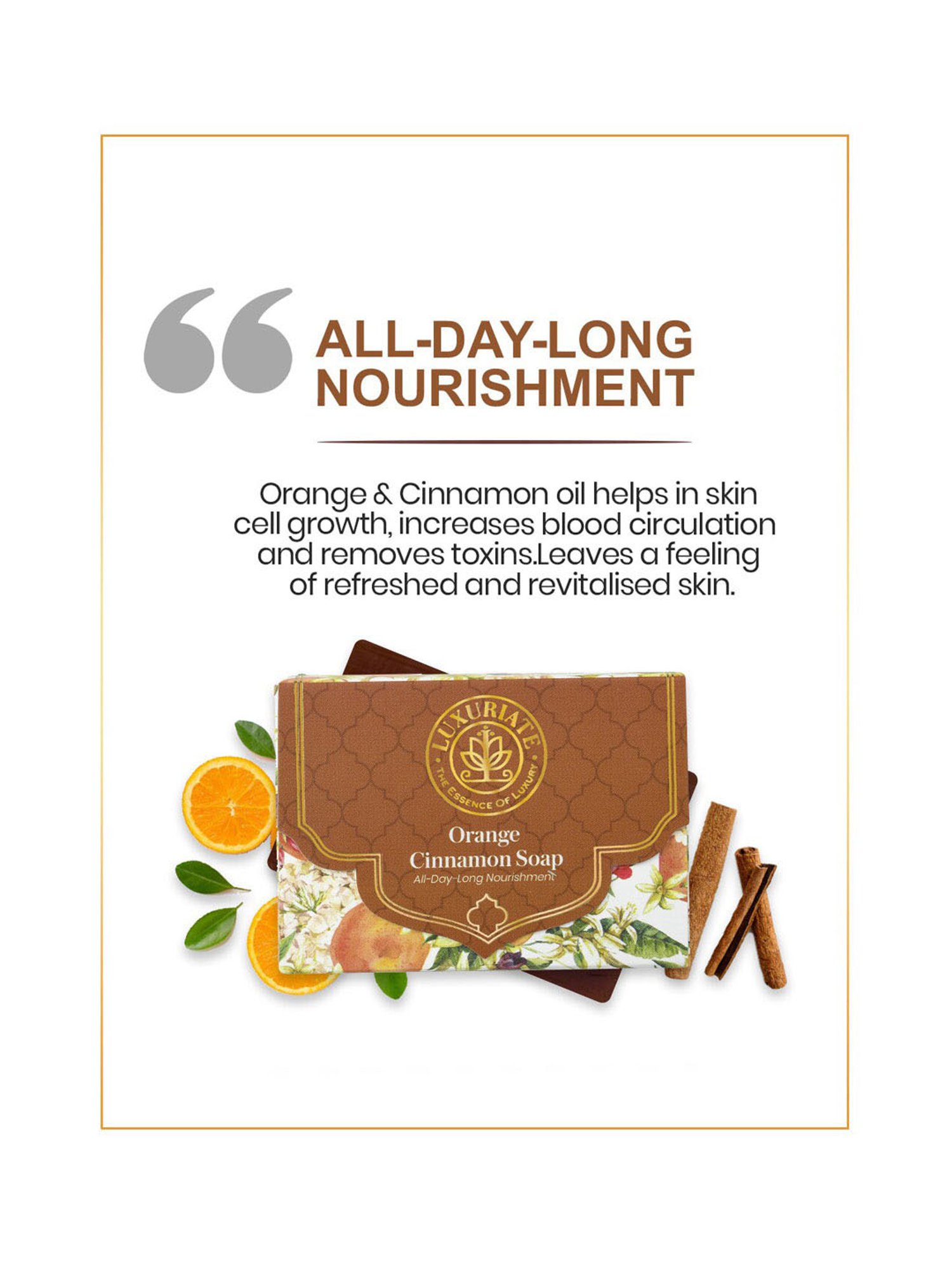 Luxuriate Orange Cinnamon Soap and Lime Hand Wash Combo