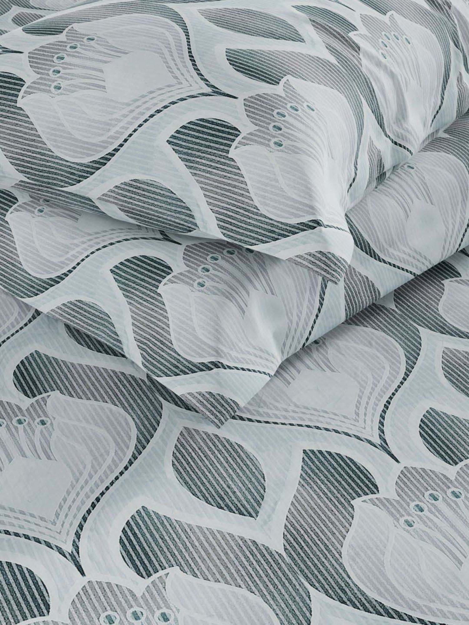 Bianca Monkler Grey 210 TC Cotton King Bedsheet with 2 Pillow Covers