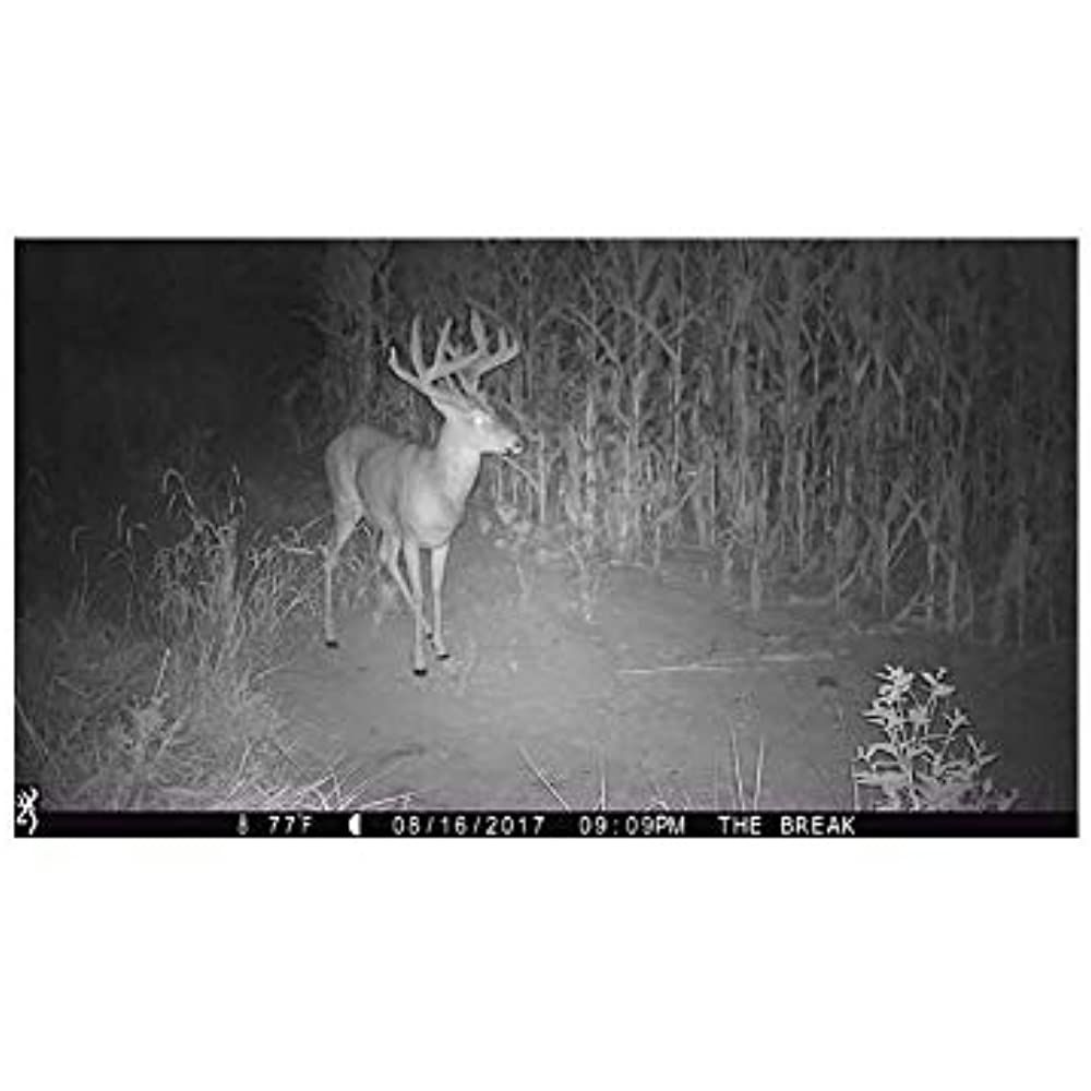 Browning Trail Cameras Strike Force Extreme 16MP Game Camera