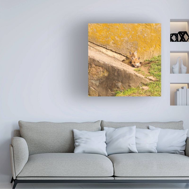 18" x 18" Aledanda 'Fox Cubs II' Unframed Wall Canvas - Trademark Fine Art
