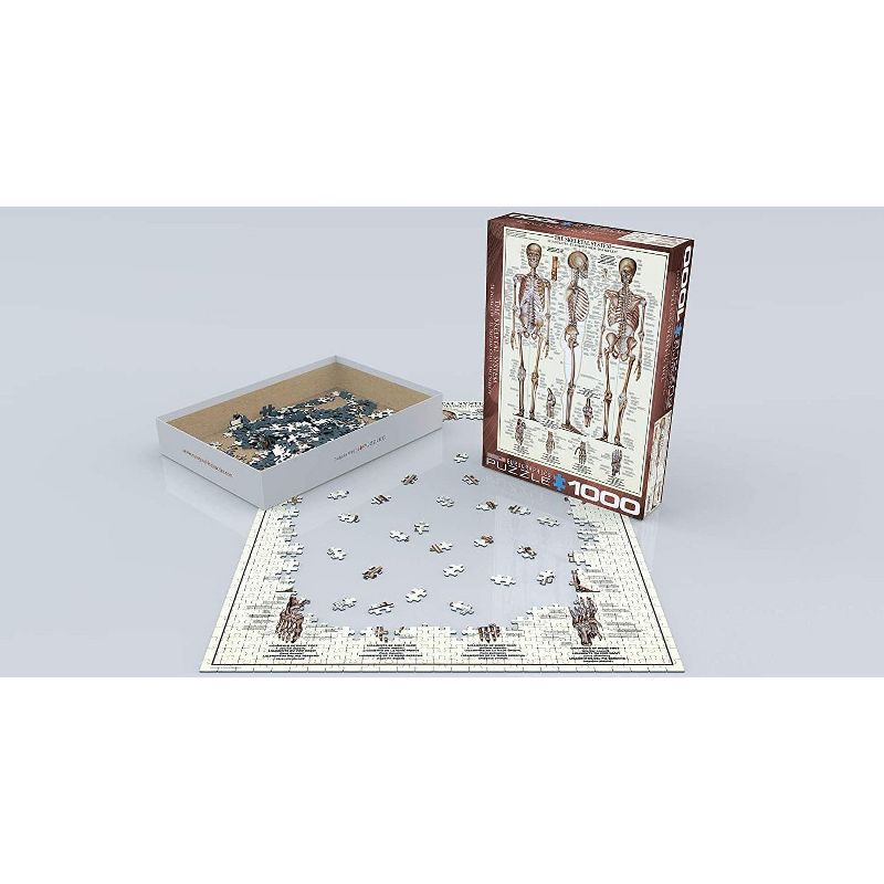 Eurographics Inc. The Skeletal System 1000 Piece Jigsaw Puzzle