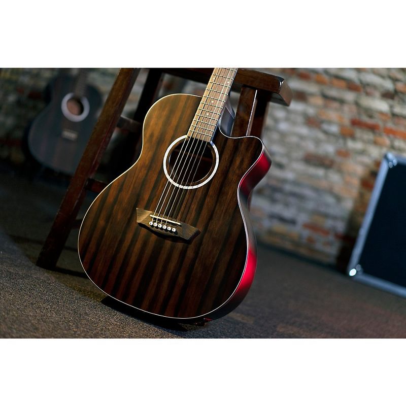 Washburn Deep Forest Ebony ACE Acoustic-Electric Guitar Natural Matte