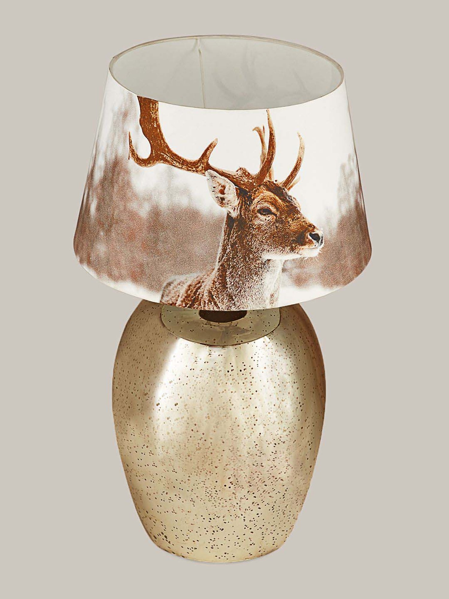 Kapoor E Illuminations Multicolor Blaike Chrome Glass Table Lamp - Set of 1