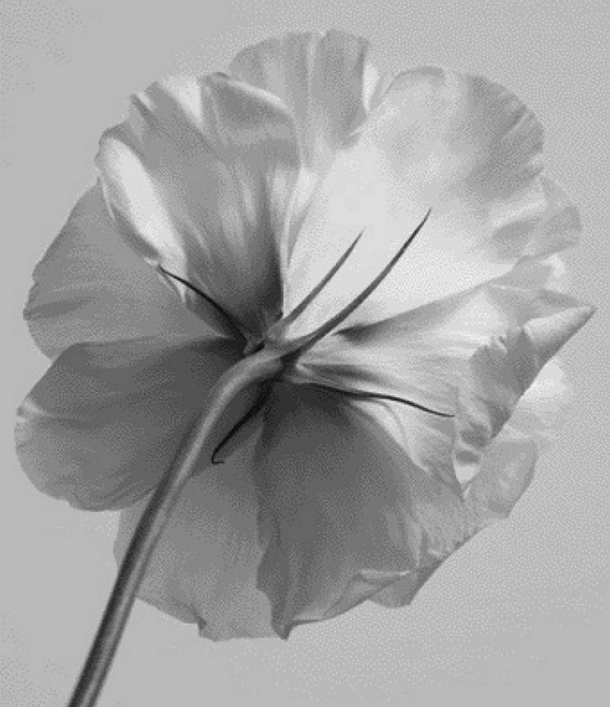 Carolina Herrera CH Red Eau de Toilette Spray