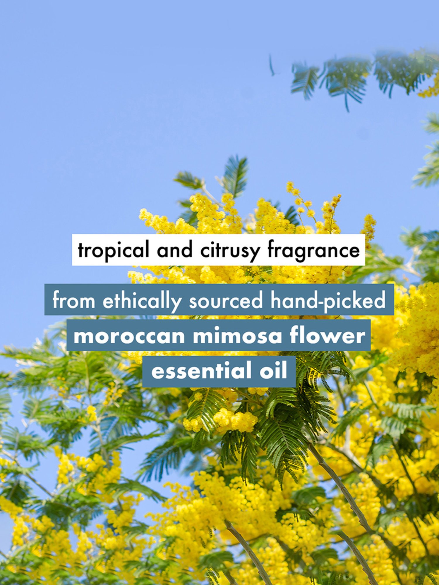 Love Beauty & Planet Coconut Water & Mimosa Flower Shampoo - 200 ml