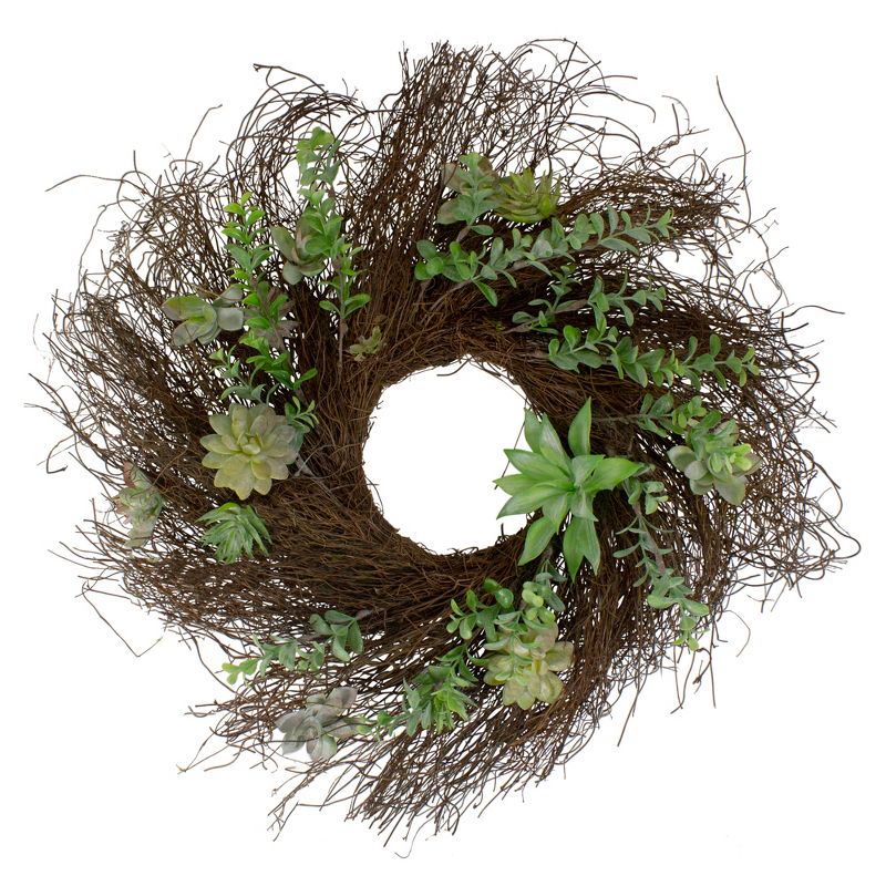 Northlight Eucalyptus and Succulents Artificial Twig Wreath - 22-Inch