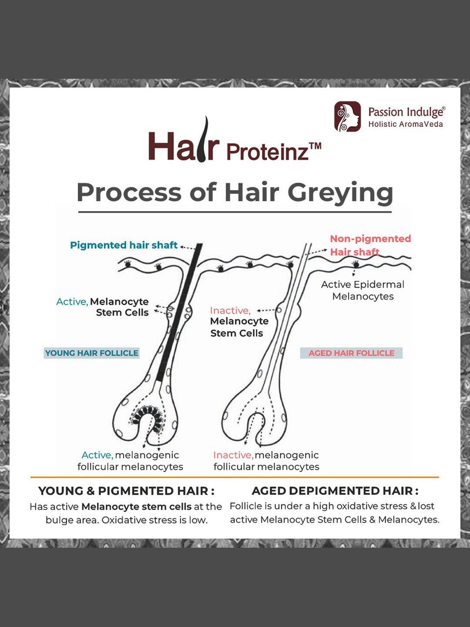 Kin Cosmetics Kinessences Nourish Oil Cream 50 ml