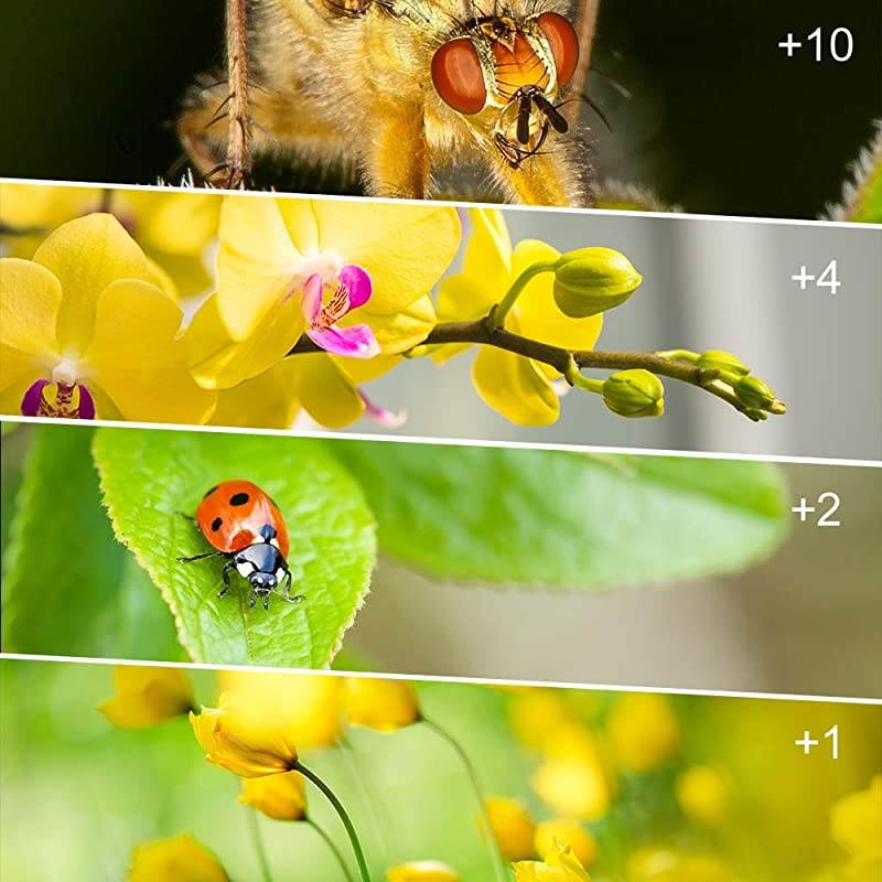 Close-up Filter Kit 4 Pieces(+1,+2,+4,+10) Macro Filter Accessory Close-up Lens Filter Kit Set with Lens Filter Pouch for Canon Nikon Sony Pentax Olympus Fuji DSLR Camera+Lens Cap