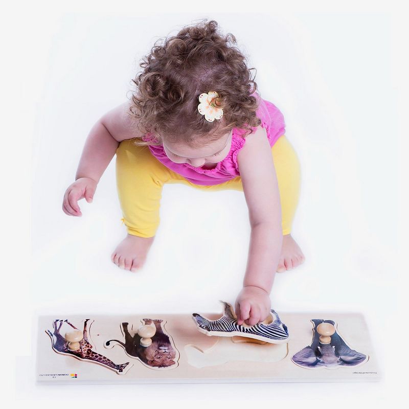 Edushape Large Knob Animal Puzzles - 2 Sets with 4 Animals - 12 Months and Up