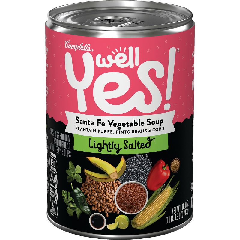 Campbell's Well Yes! Santa Fe Vegetable Soup Lightly Salted - 16.3oz