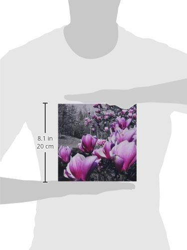 3dRose LLC 8 x 8 x 0.25 Inches Mouse Pad, Spring Blossoms, Black and White (mp_20496_1)