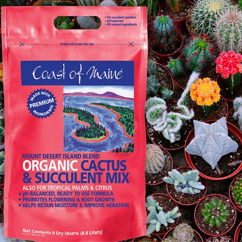 Coast of Maine Indoor Outdoor Mount Desert Island Blend Organic Cactus and Succulent Potting Soil Mix with Beneficial Nutrients, 8 Quart Bag