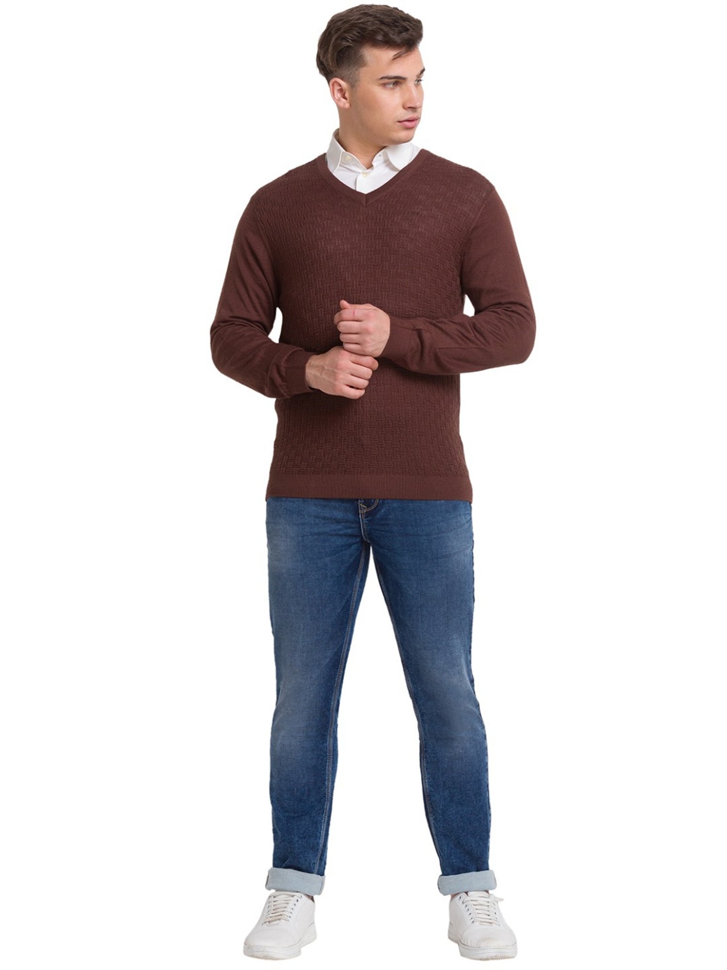 ColorPlus Brown Tailored Fit Self Pattern Sweater