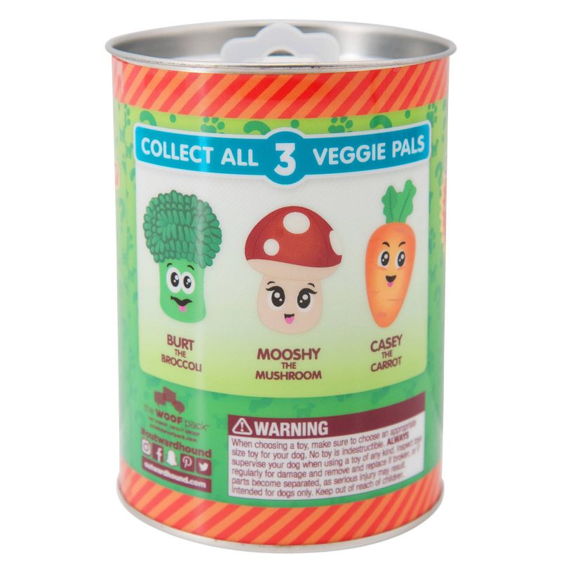 Outward Hound Surprise Veggie Pals Dog Toy