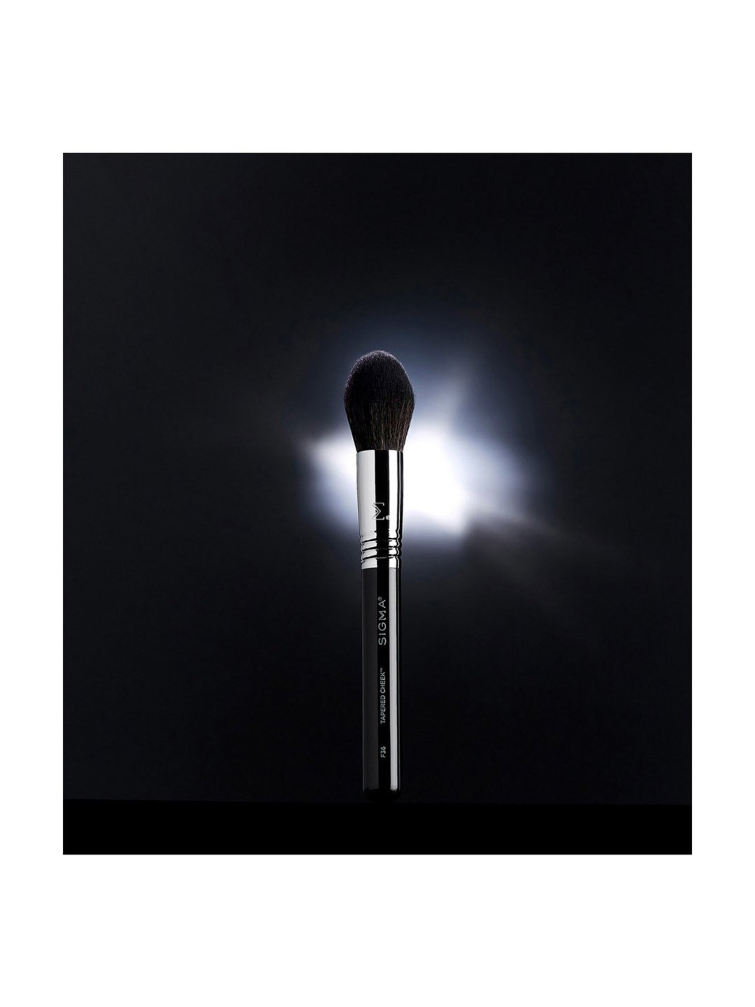 Sigma Beauty Tapered Cheek Brush - F36