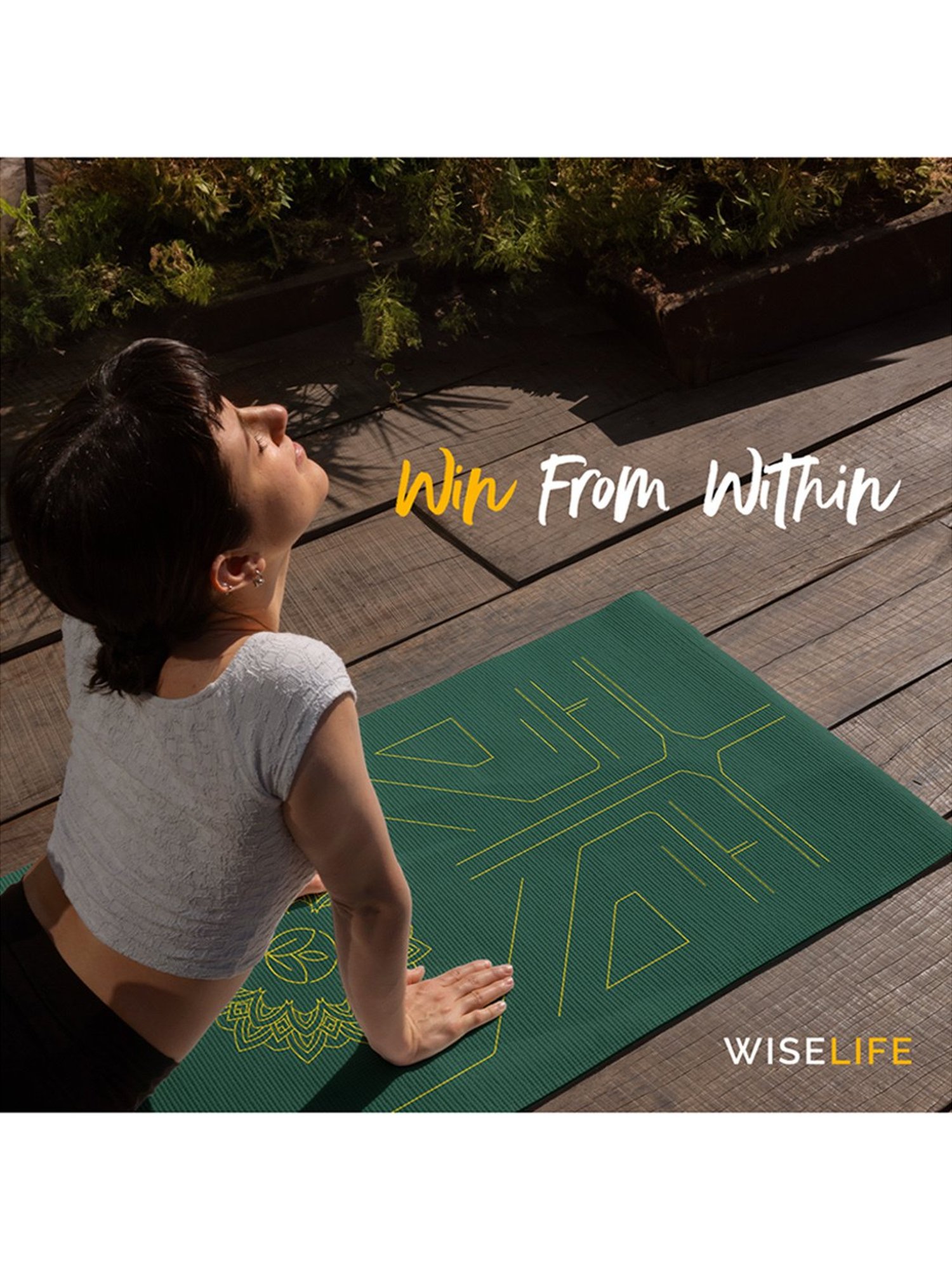 Nodens Multicolored Frizbee Ring (7 inch)