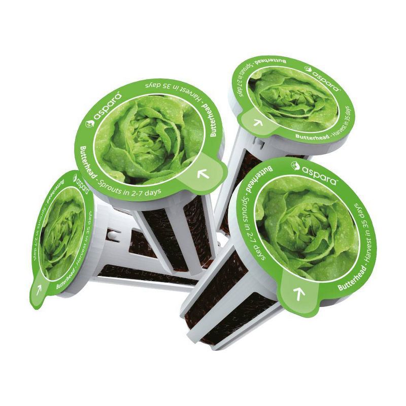 Aspara KLS0001 8 Capsule Seed Kit - Butterhead