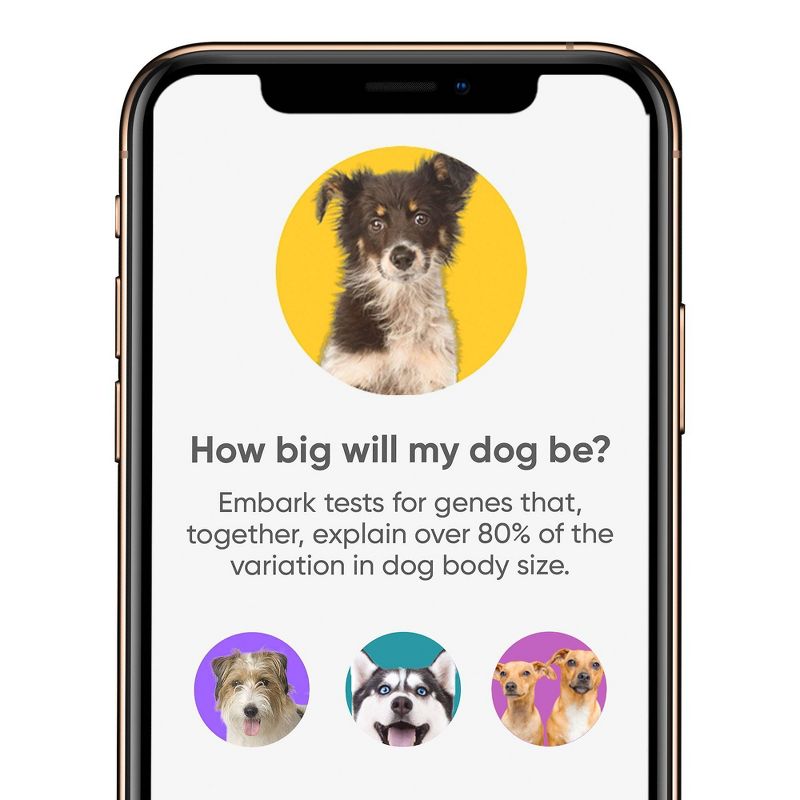 Embark Breed & Health Dog DNA Test