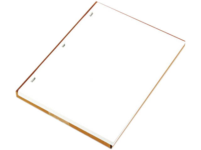 Wilson Jones 903-10 Ledger Sheets for Corporation and Minute Book, White, 11 x 8-1/2, 100 Sheets