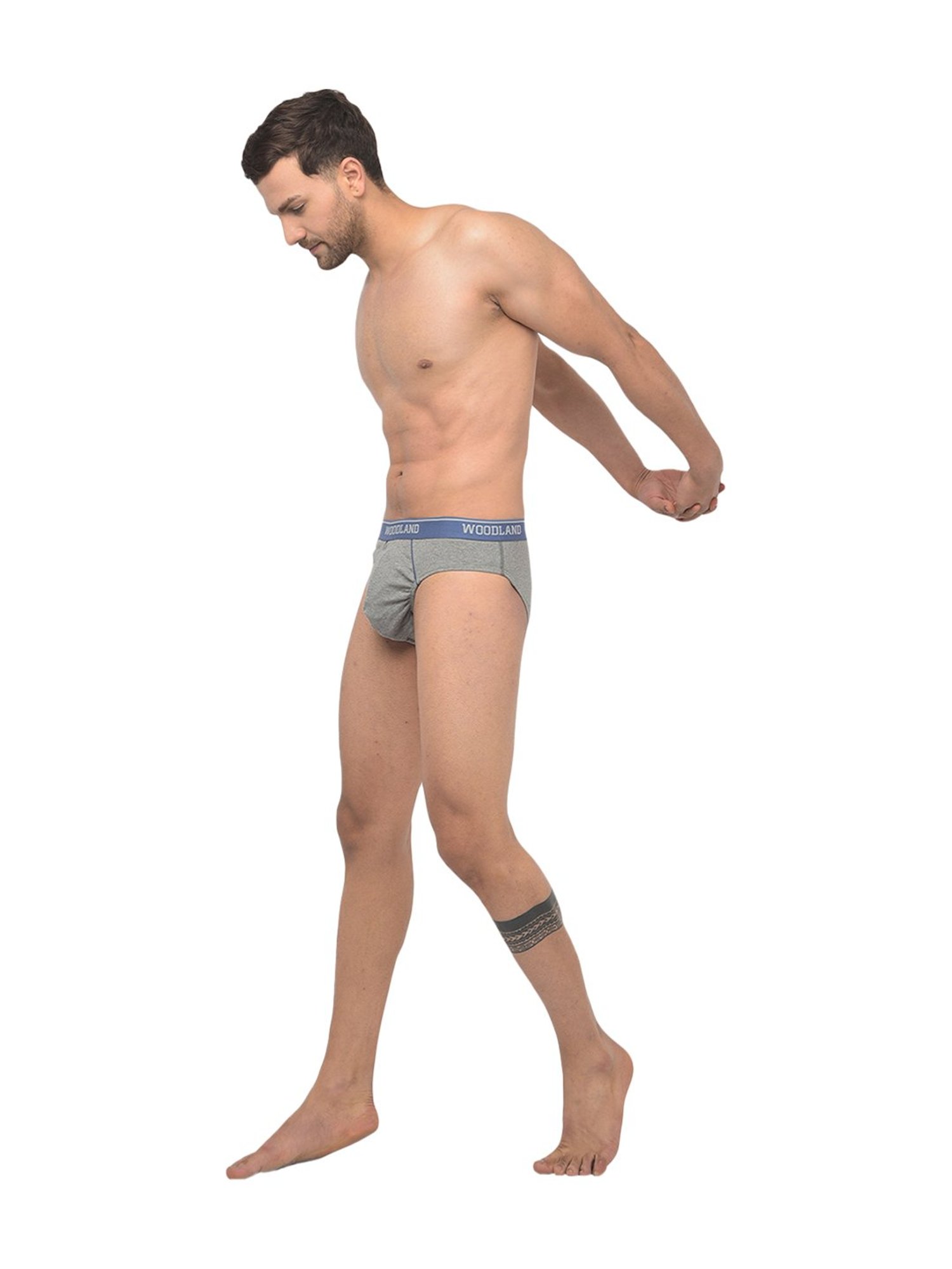 Woodland Light Grey Solid Briefs