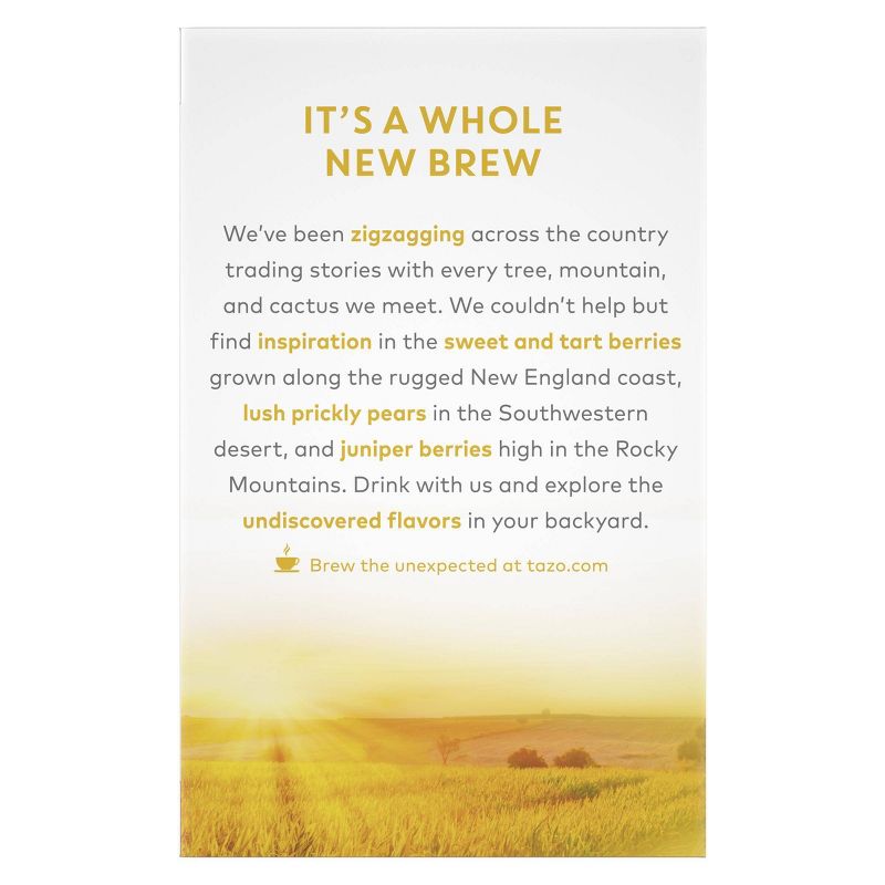 Tazo Foragers Wild Apple Sarsaparilla Tea - 16ct