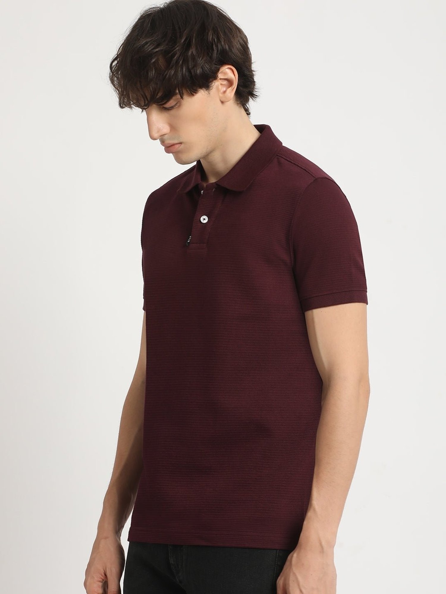 The Bear House Maroon Cotton Regular Fit Self Pattern Polo T-Shirt