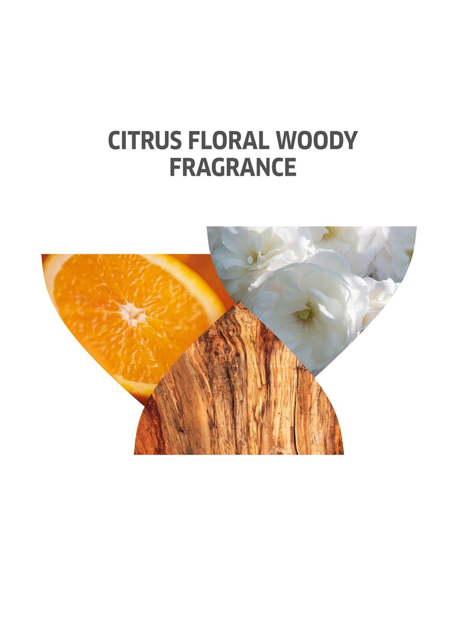 Wella Professionals Invigo Color Brilliance Conditioner - 200 ml