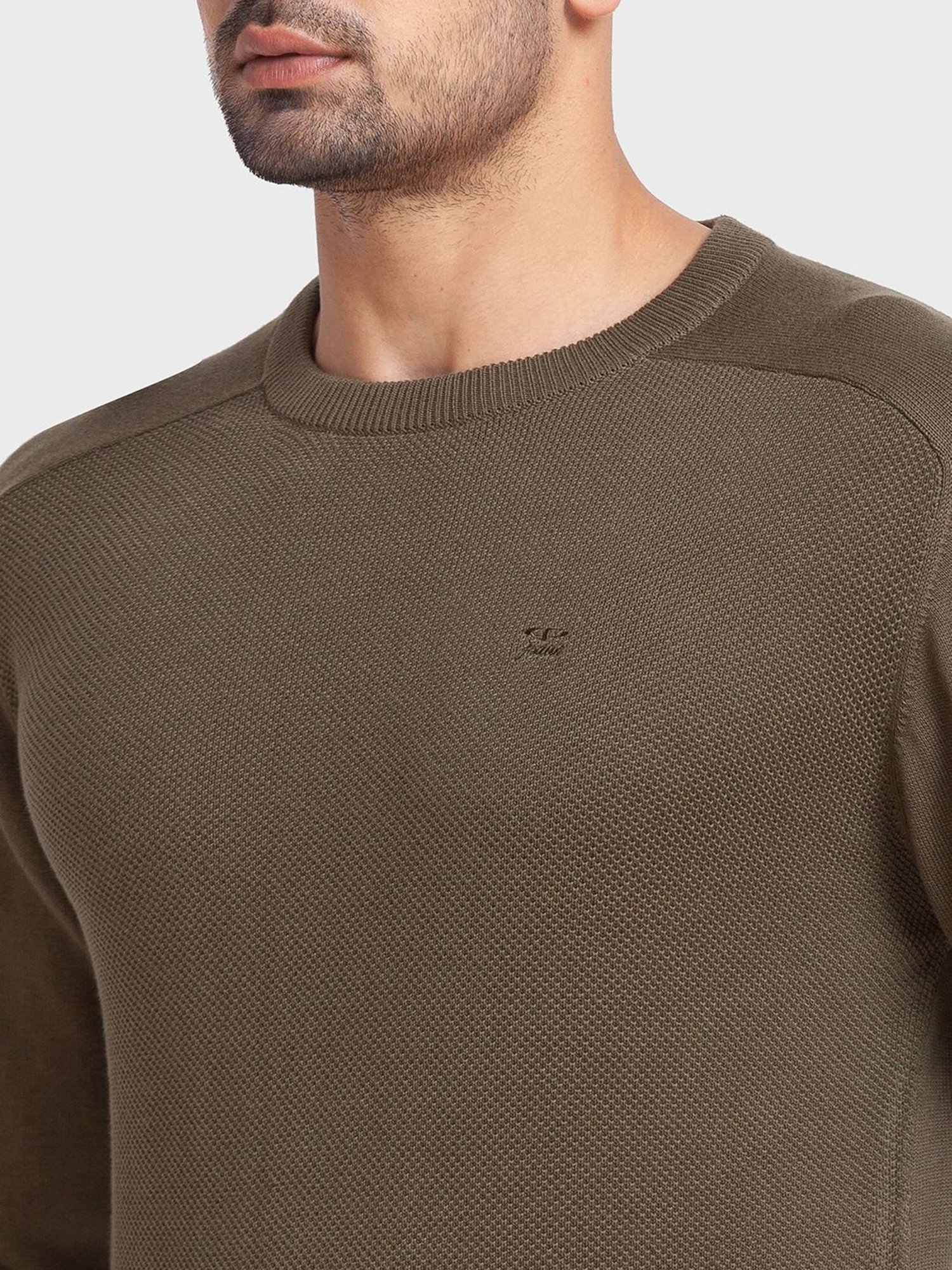 ColorPlus Green Cotton Tailored Fit Texture Sweaters