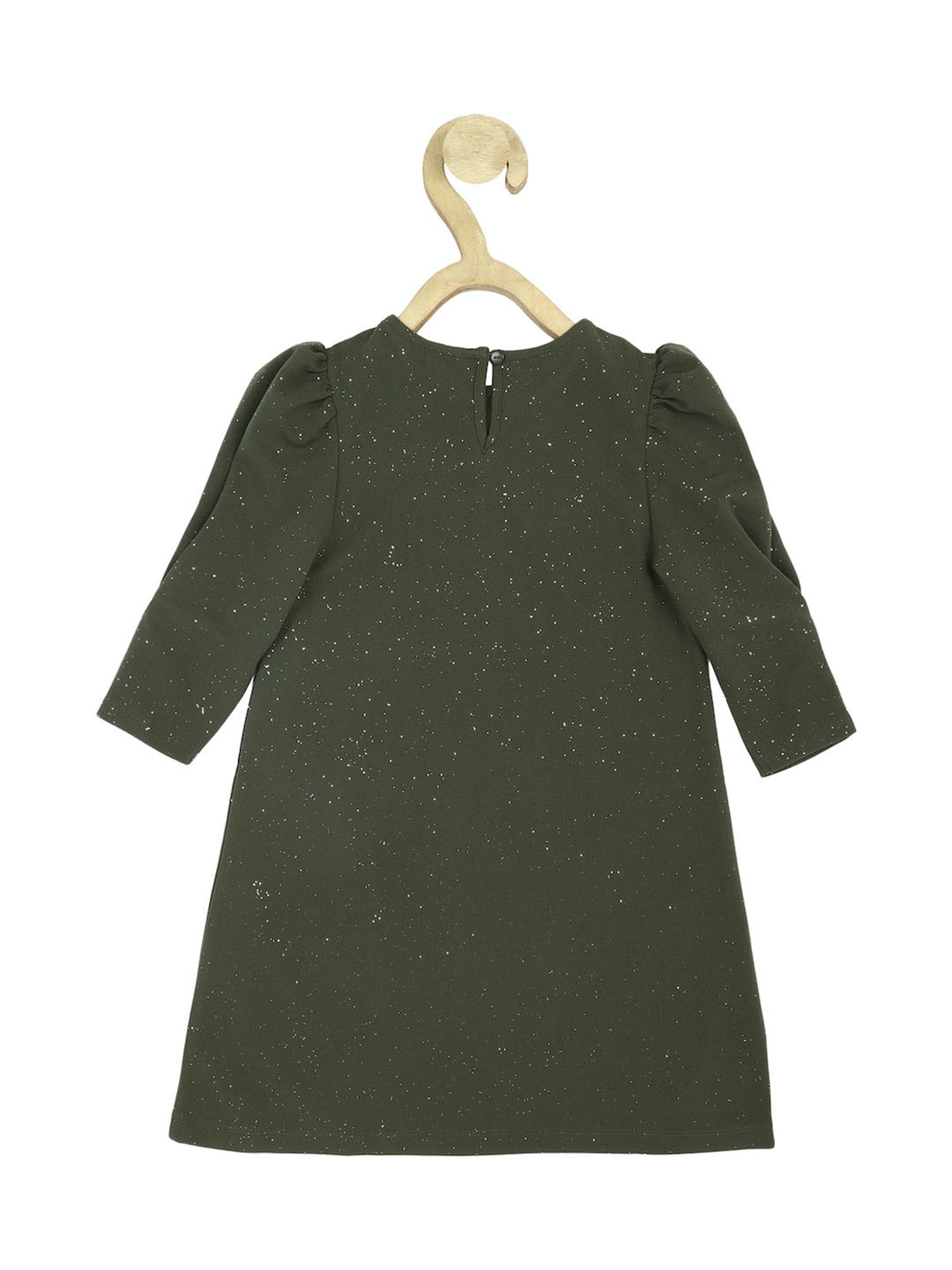 Peter England Kids Olive Shimmer Full Sleeves Dress