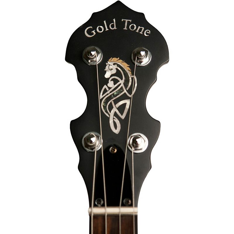 Gold Tone 4-String Irish Tenor Openback Banjo with 19 Frets Natural