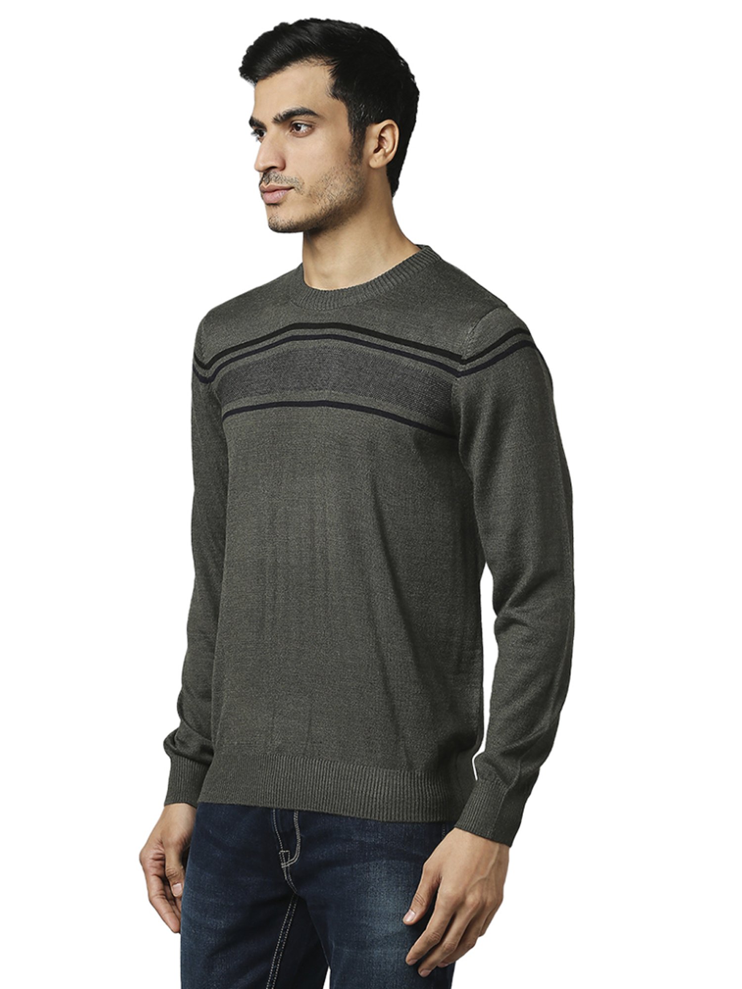 Raymond Green  Regular Fit Striped Sweaters