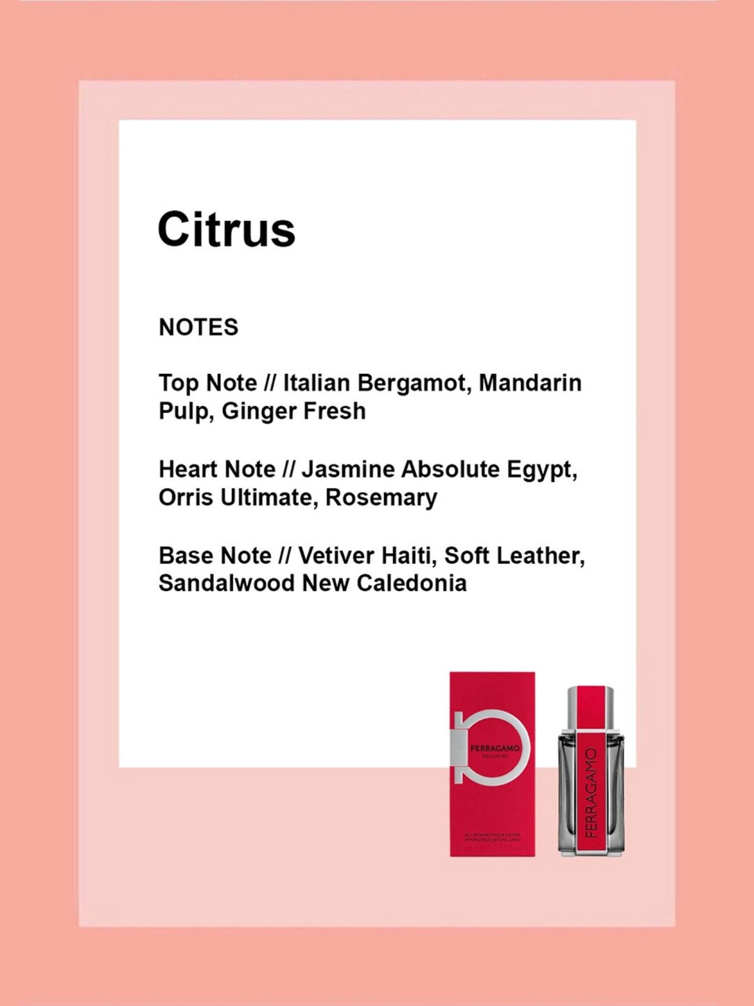 Ferragamo Red Leather Eau De Parfum - 50 ml