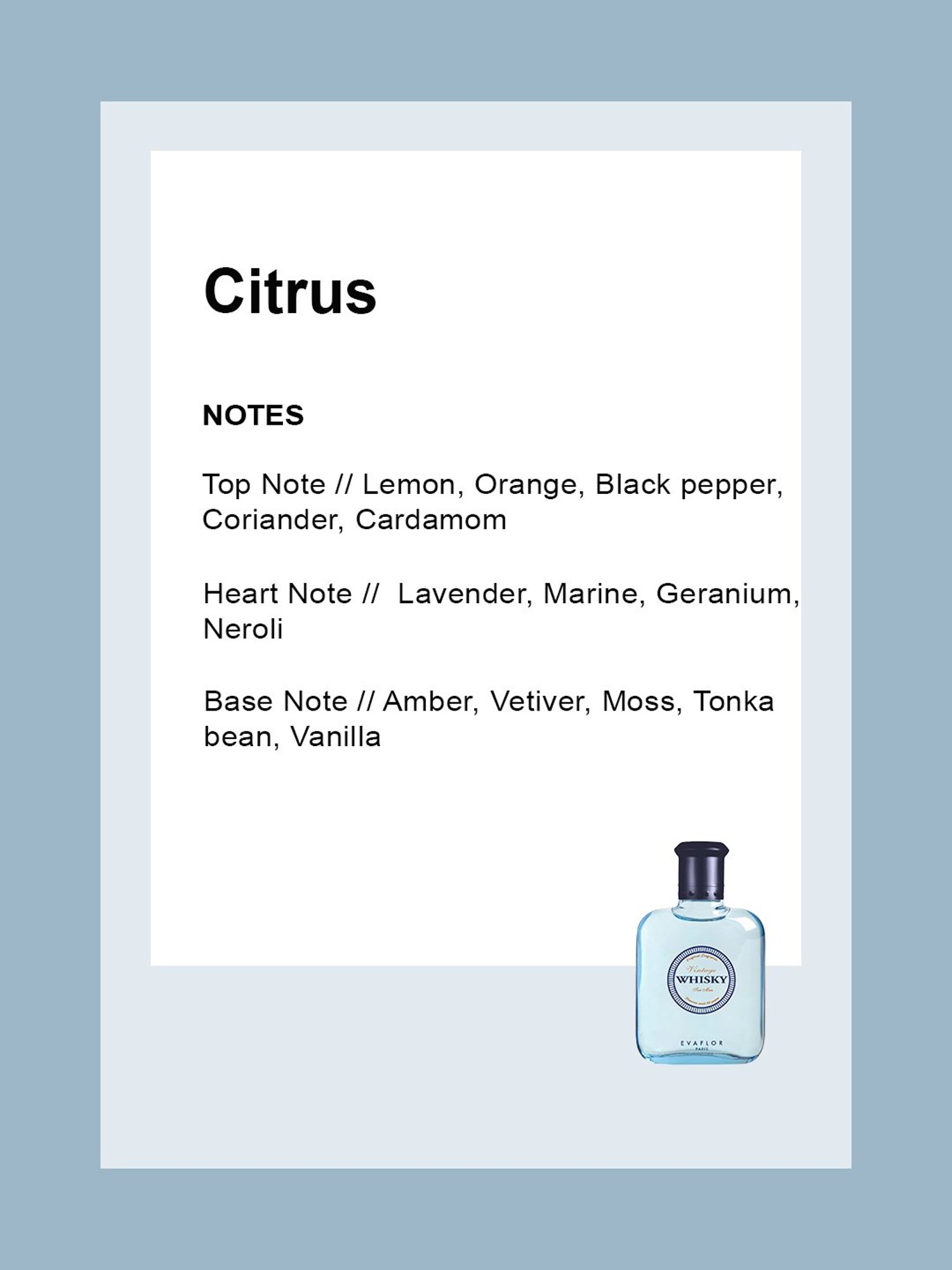 Evaflor Whisky Vintage Eau de Toilette for Men - 100 ml